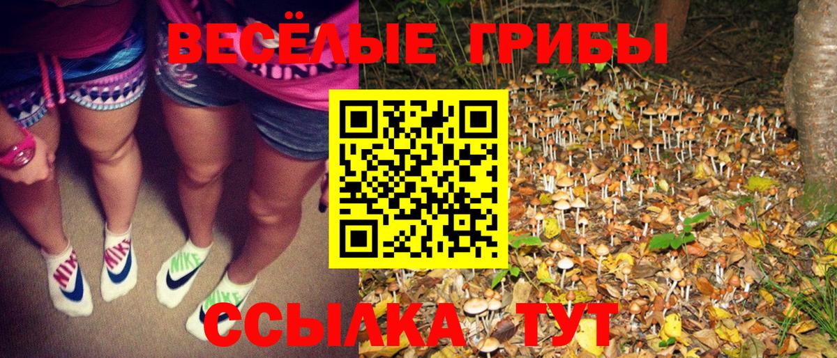 Рязань  Галлюциногенные грибы мицелий  Галлюциногенные грибы Cubensis  Вход с VPN 