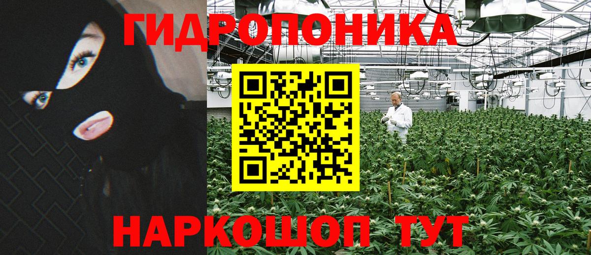 Шишки марихуана семена Рязань